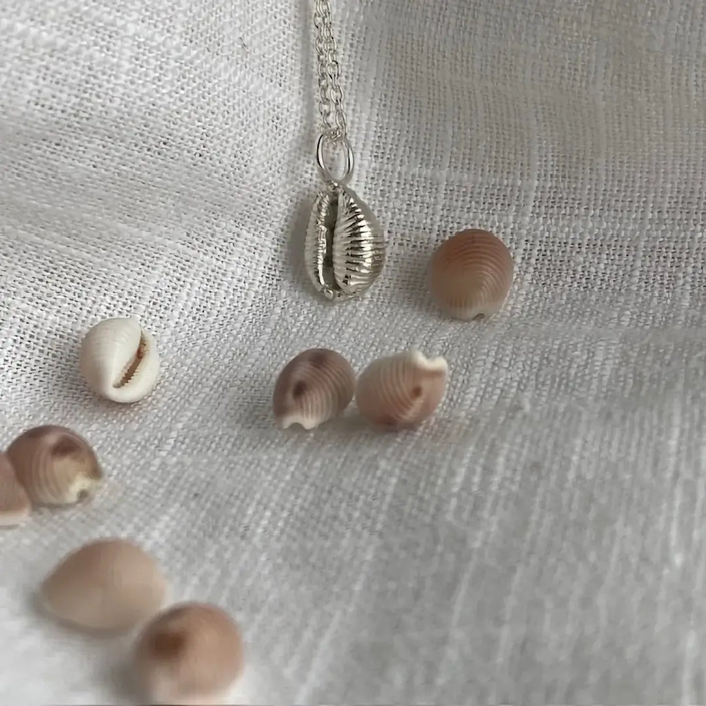 Cornish Cowrie Shell Sterling Silver Necklace