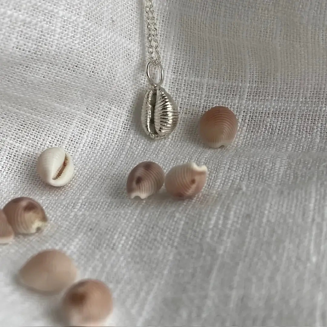Cornish Cowrie Shell Sterling Silver Necklace