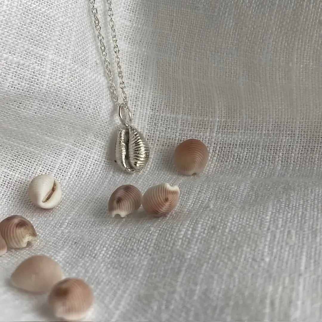 Cornish Cowrie Shell Sterling Silver Necklace