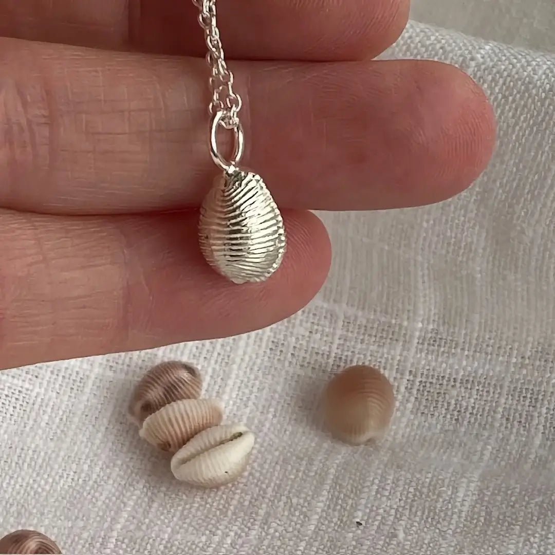 Cornish Cowrie Shell Sterling Silver Necklace