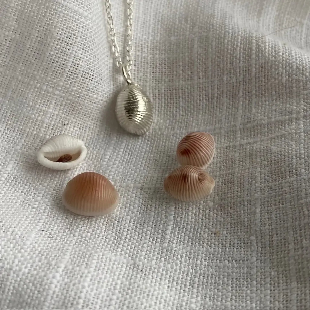 Cornish Cowrie Shell Sterling Silver Necklace