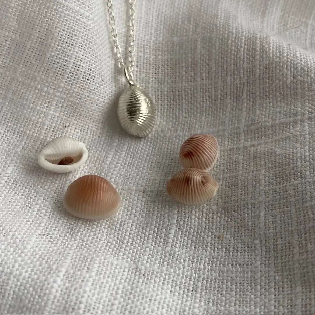 Cornish Cowrie Shell Sterling Silver Necklace